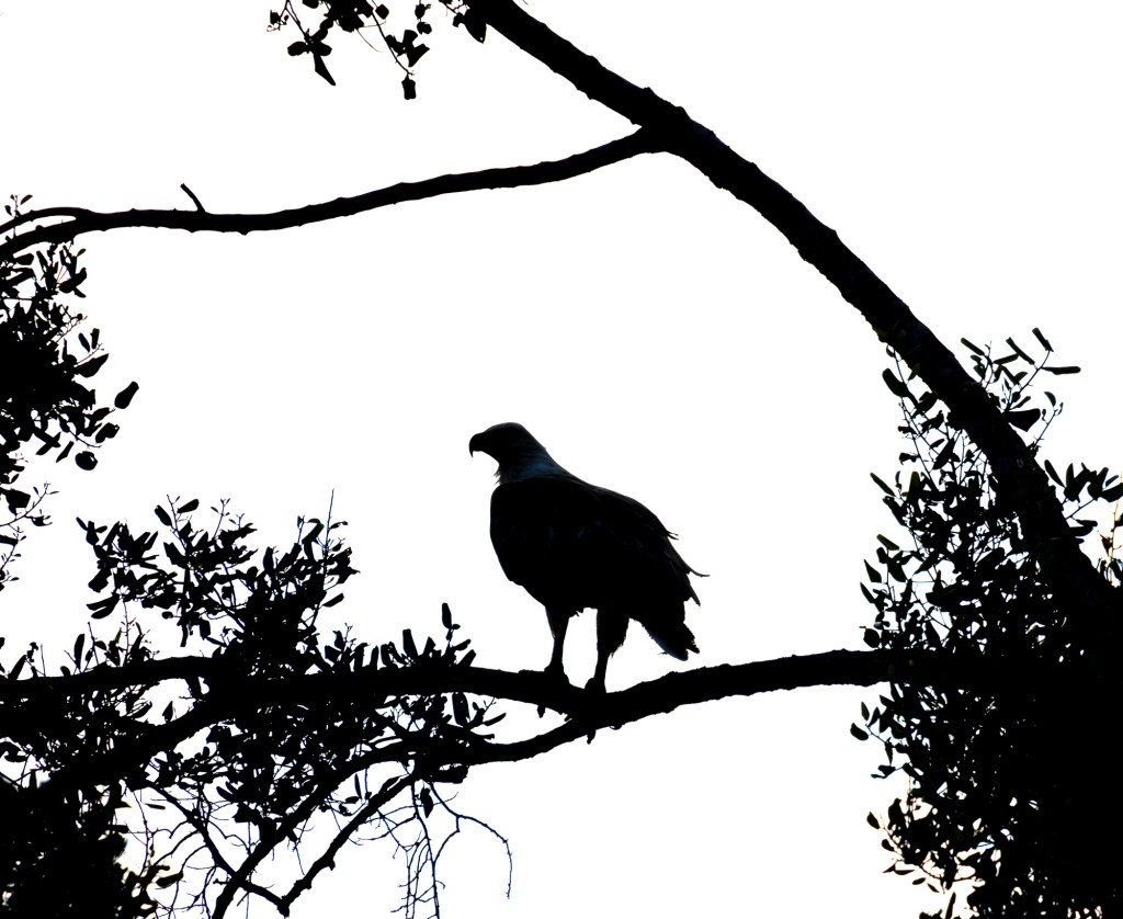Kumana National Park